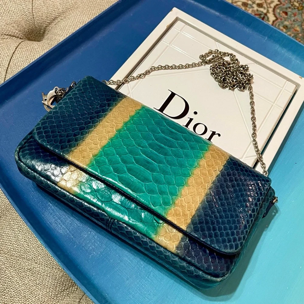 Dior Blue Python & Leather WOC Bag - Picture 4 of 16